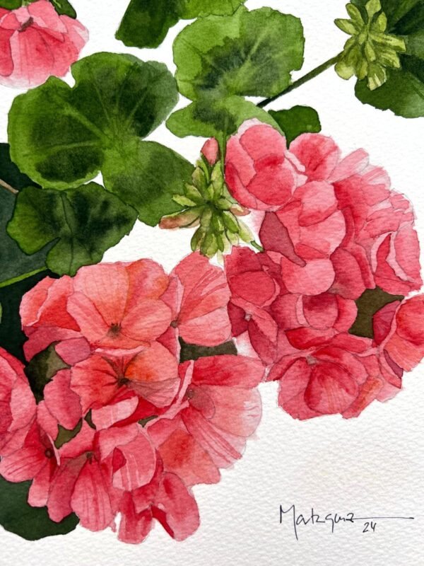 Geranio andaluz en coral