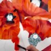 Amapolas escarlata