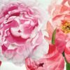Peonías coral y rosas en flor