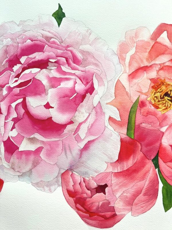Peonías coral y rosas en flor
