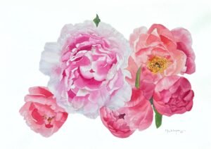 Peonías coral y rosas en flor