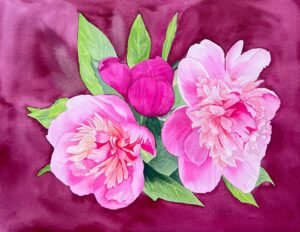 Peonías rosas sobre fondo burdeos