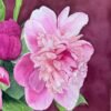 Peonías rosas sobre fondo burdeos