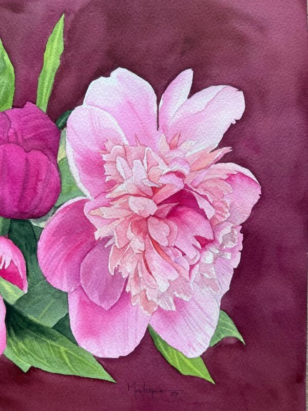 Peonías rosas sobre fondo burdeos