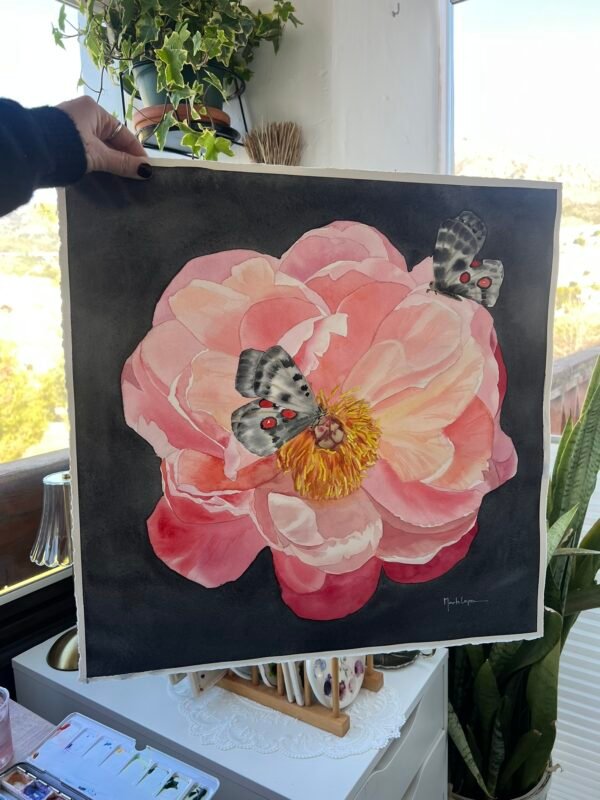 Peonia Coral al Ocaso (descarga digital)