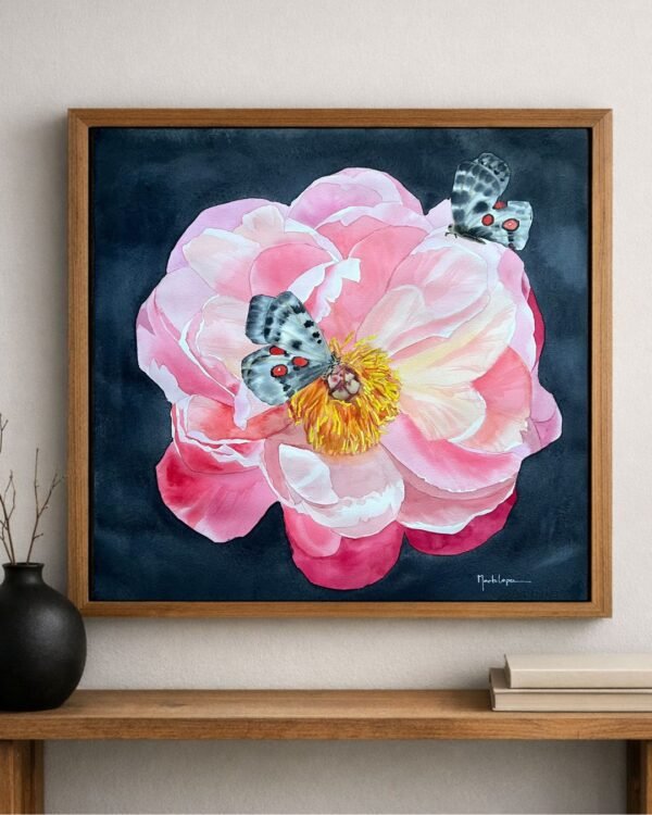 Peonia Coral al Ocaso (descarga digital)